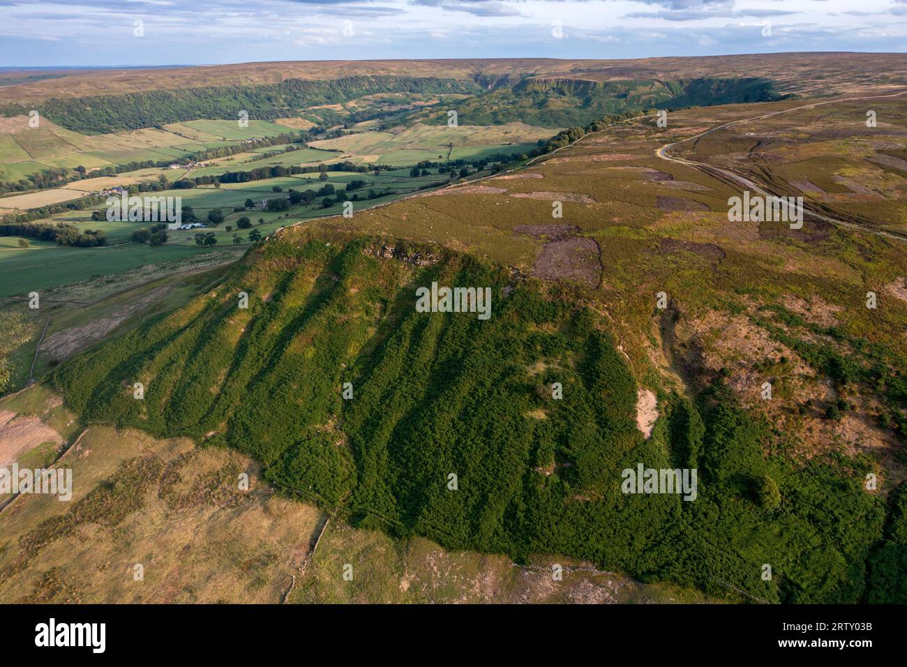 Little Fryupdale Head, North York Moors National Park dall'alto Foto Stock