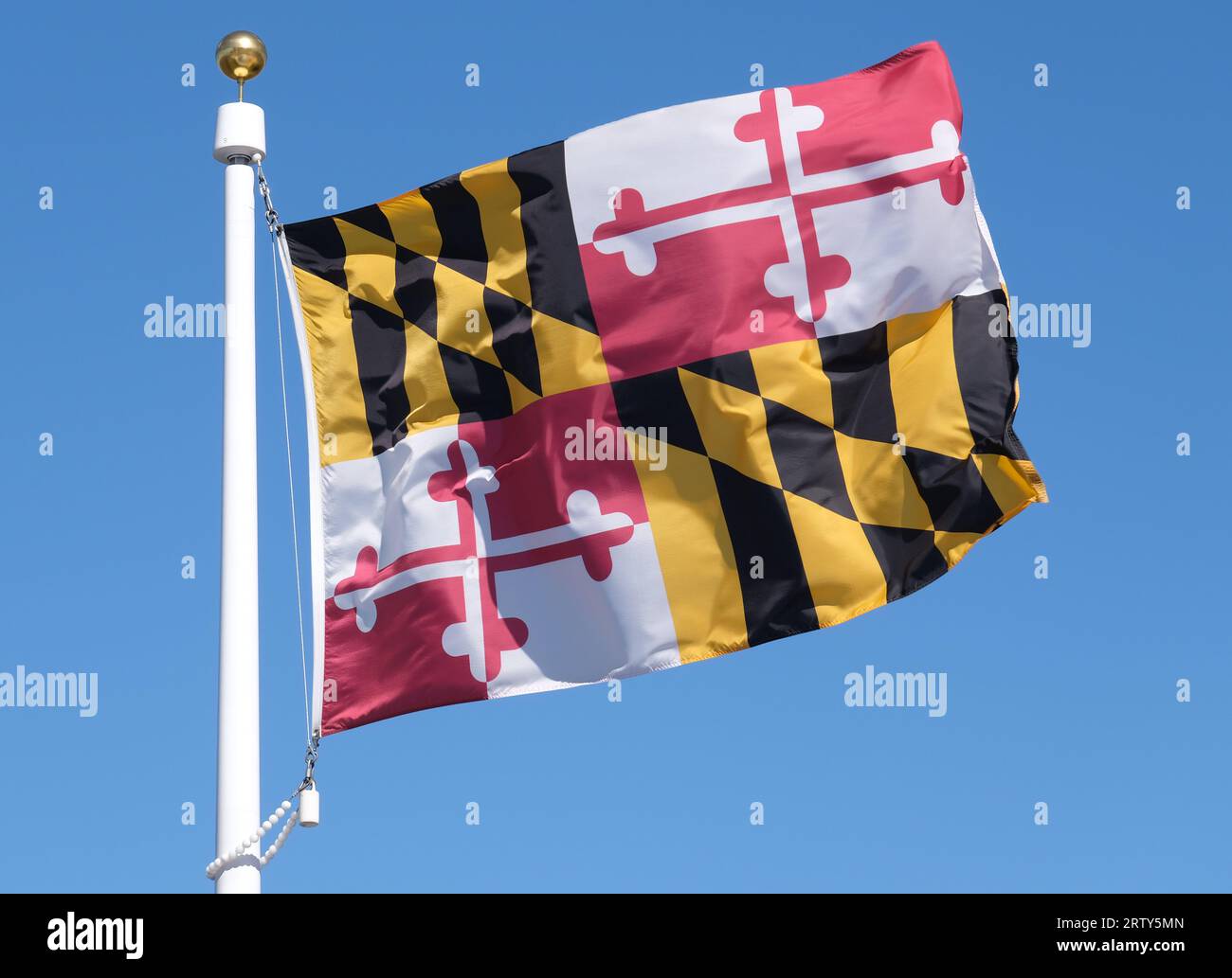 Bandiera dello stato del Maryland che sventola su uno sfondo blu Foto Stock
