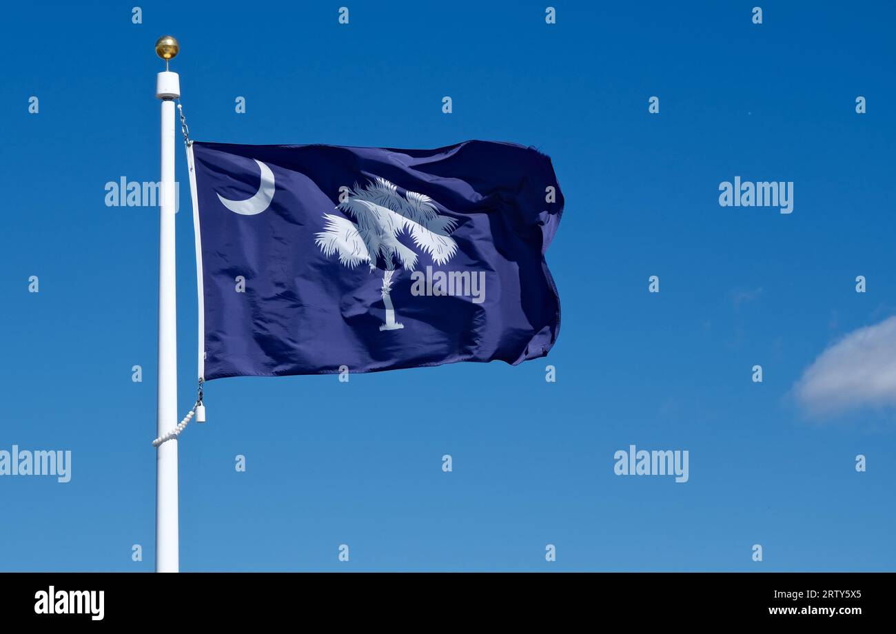 Primo piano della bandiera dello stato della Carolina del Sud sullo sfondo del cielo blu e delle nuvole bianche Foto Stock