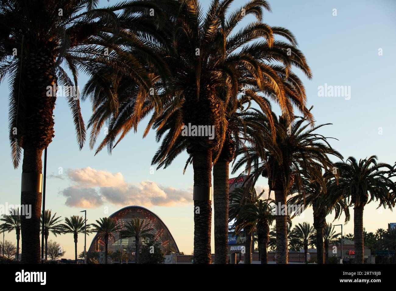 Anaheim, California, USA - 1° marzo 2023: Il tramonto scende sulle palme e l'Anaheim Regional Transportation Intermodal Center (ARTIC) nel centro città Foto Stock
