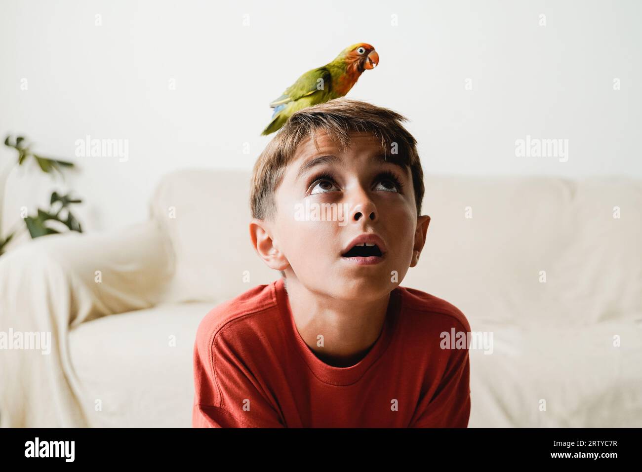 Un bambino felice e un uccello di pappagallo che si divertono insieme a casa - proprietario e relazione con gli animali domestici, concetto di animale esotico Foto Stock