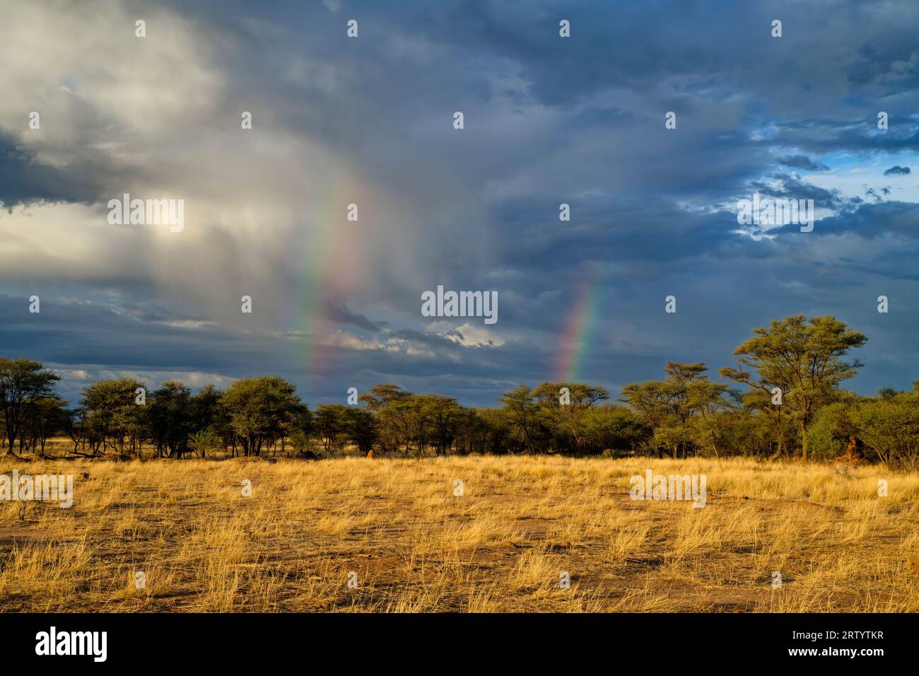 Arcobaleno su terreni agricoli asciutti a nord-est di Omaruru, regione di Erongo, Namibia Foto Stock