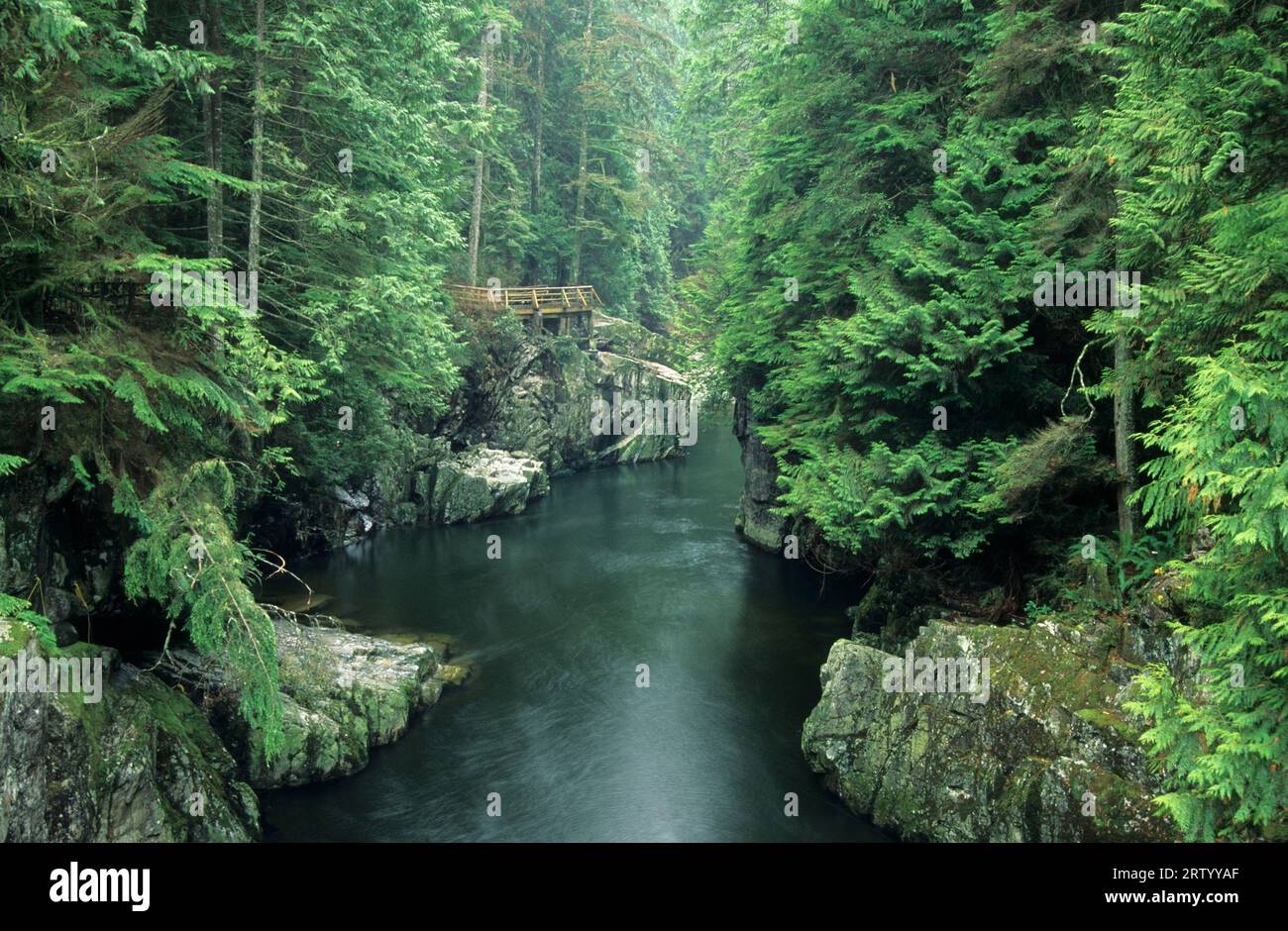 Fiume Capilano, Parco Regionale Del Fiume Capilano, Columbia Britannica, Canada Foto Stock