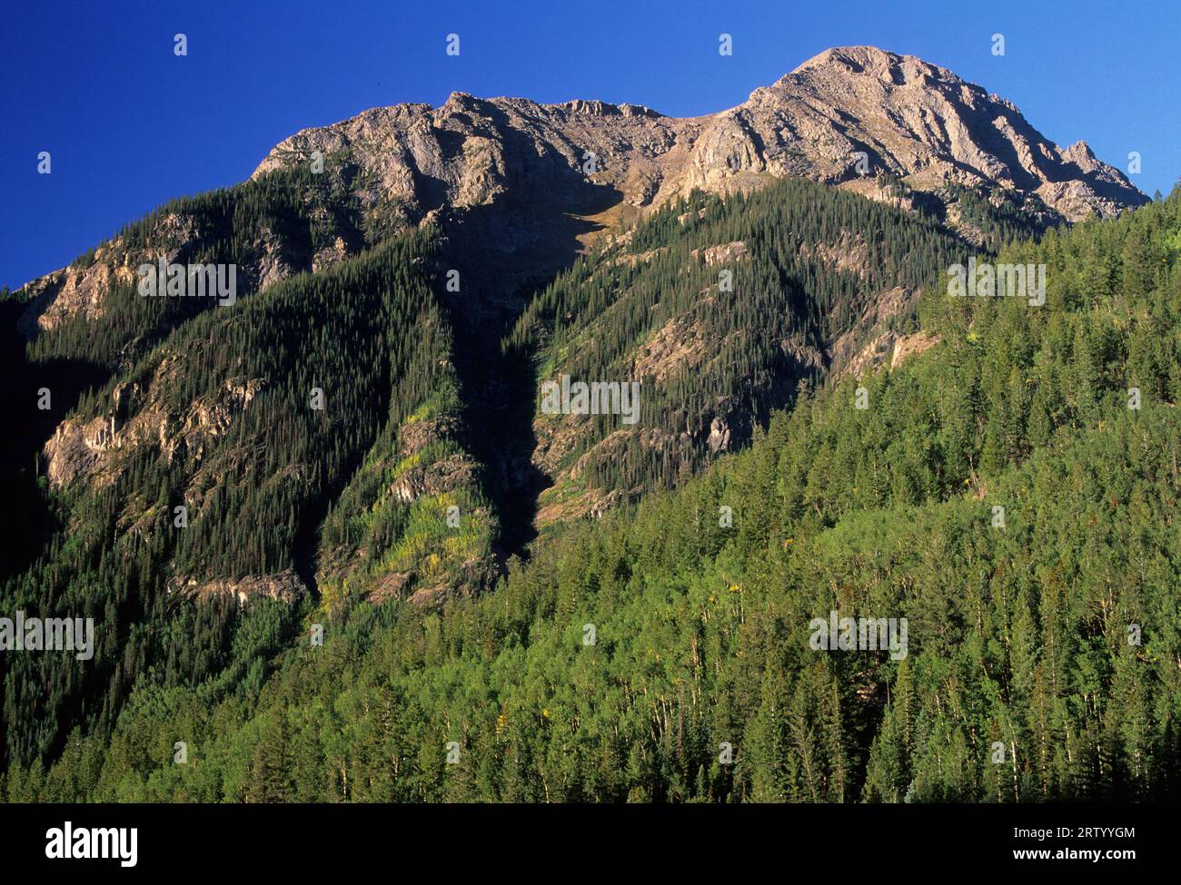 Picco di montagna, Alpino Nazionale Loop Back Country Byway, Colorado Foto Stock