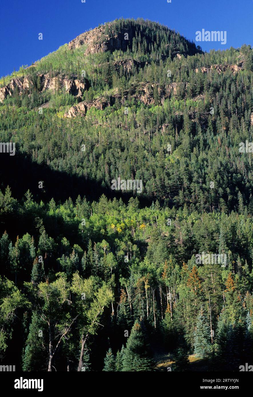 Picco di montagna, Alpino Nazionale Loop Back Country Byway, Colorado Foto Stock