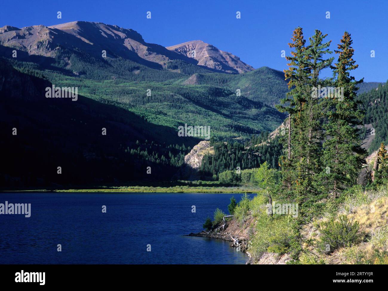 Il lago di San Cristobal, Alpino Nazionale Loop Back Country Byway, Colorado Foto Stock