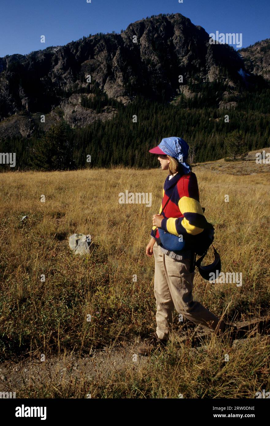 Prateria sopra Boise Trail, Hells Canyon Wilderness, Hells Canyon National Recreation area, Idaho Foto Stock
