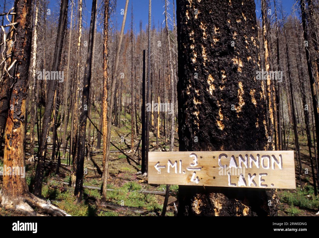 Segnaletica nella zona dei vigili del fuoco lungo Boise Trail, Hells Canyon Wilderness, Hells Canyon National Recreation area, Idaho Foto Stock