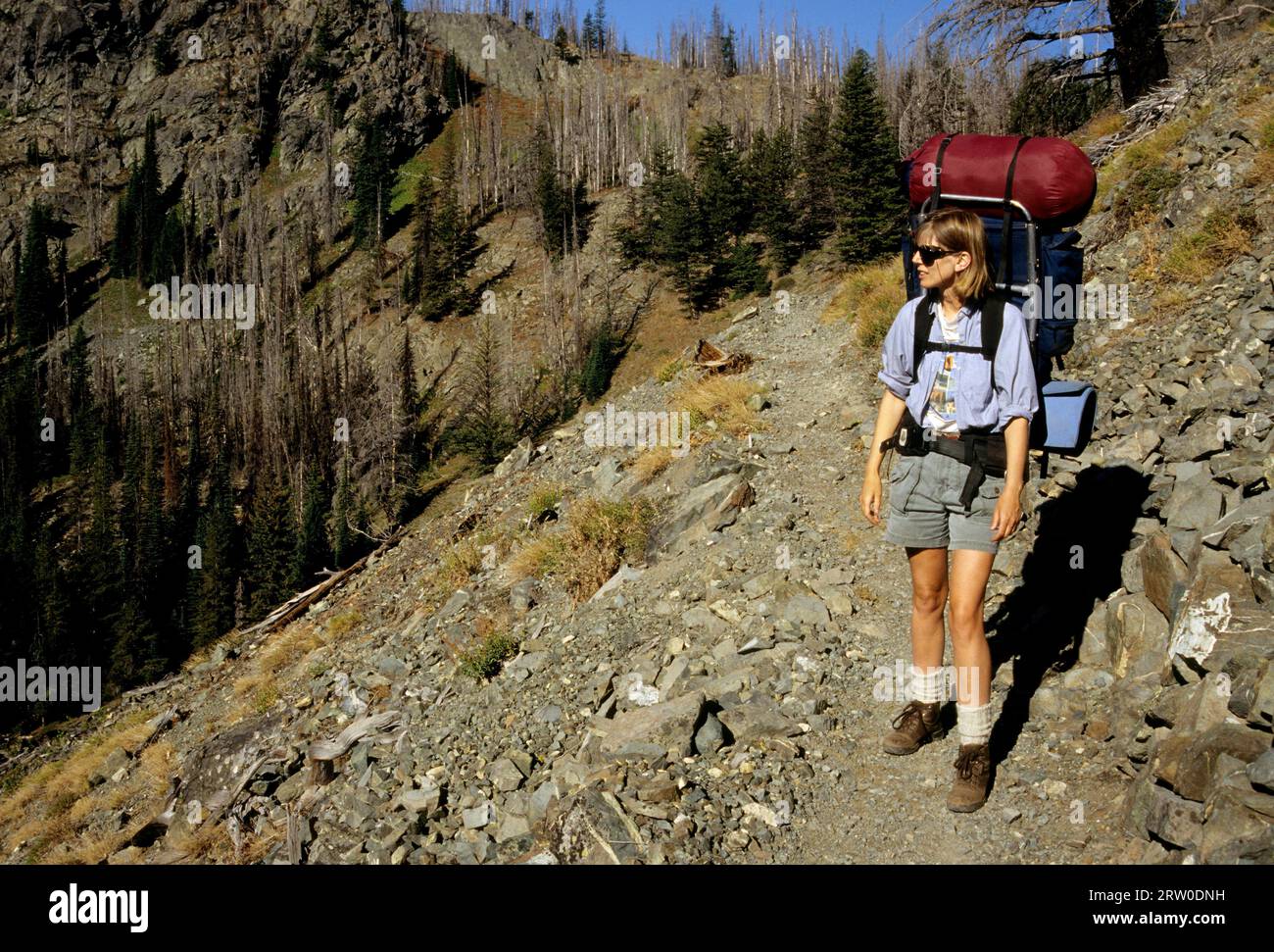 Pecore Creek drenaggio, Hells Canyon deserto, Hells Canyon National Recreation Area, Idaho Foto Stock