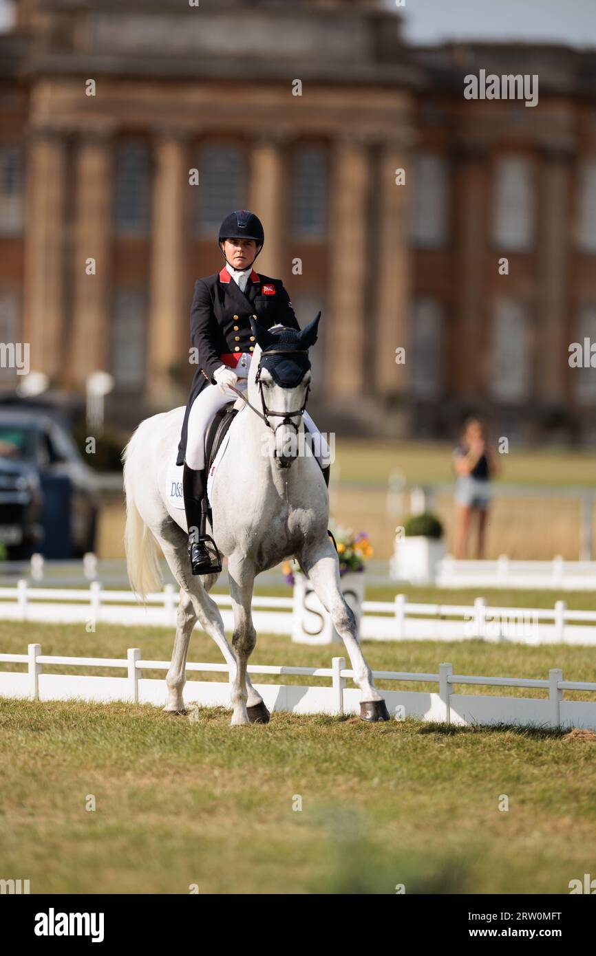 Piggy March of Great Britain with Halo durante il test di dressage CCI-L 4* al Blenheim Palace International Horse Trials il 15 settembre 2023, Regno Unito (foto di Maxime David/MXIMD Pictures - mximd.com) credito: MXIMD Pictures/Alamy Live News Foto Stock