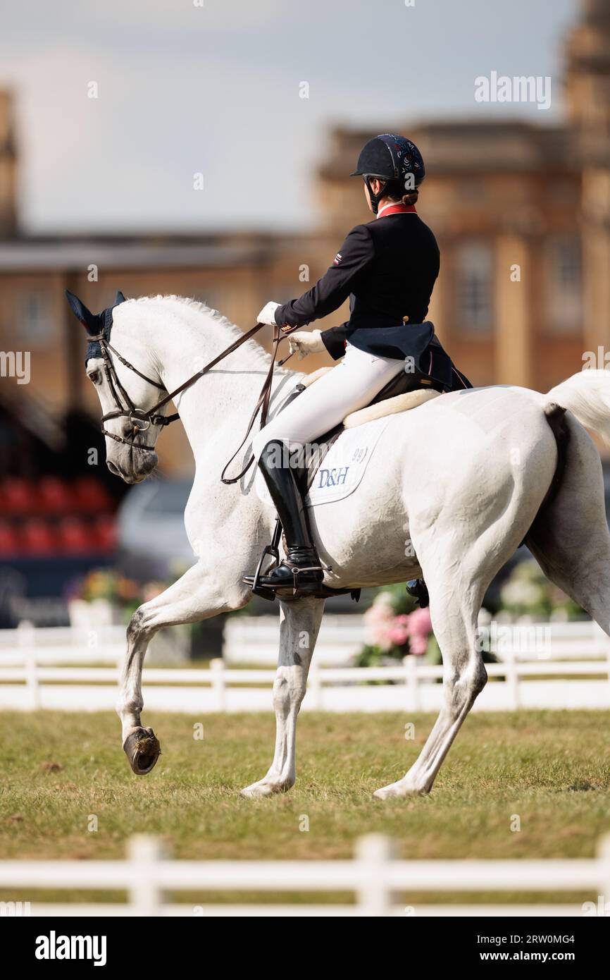 Piggy March of Great Britain with Halo durante il test di dressage CCI-L 4* al Blenheim Palace International Horse Trials il 15 settembre 2023, Regno Unito (foto di Maxime David/MXIMD Pictures - mximd.com) credito: MXIMD Pictures/Alamy Live News Foto Stock