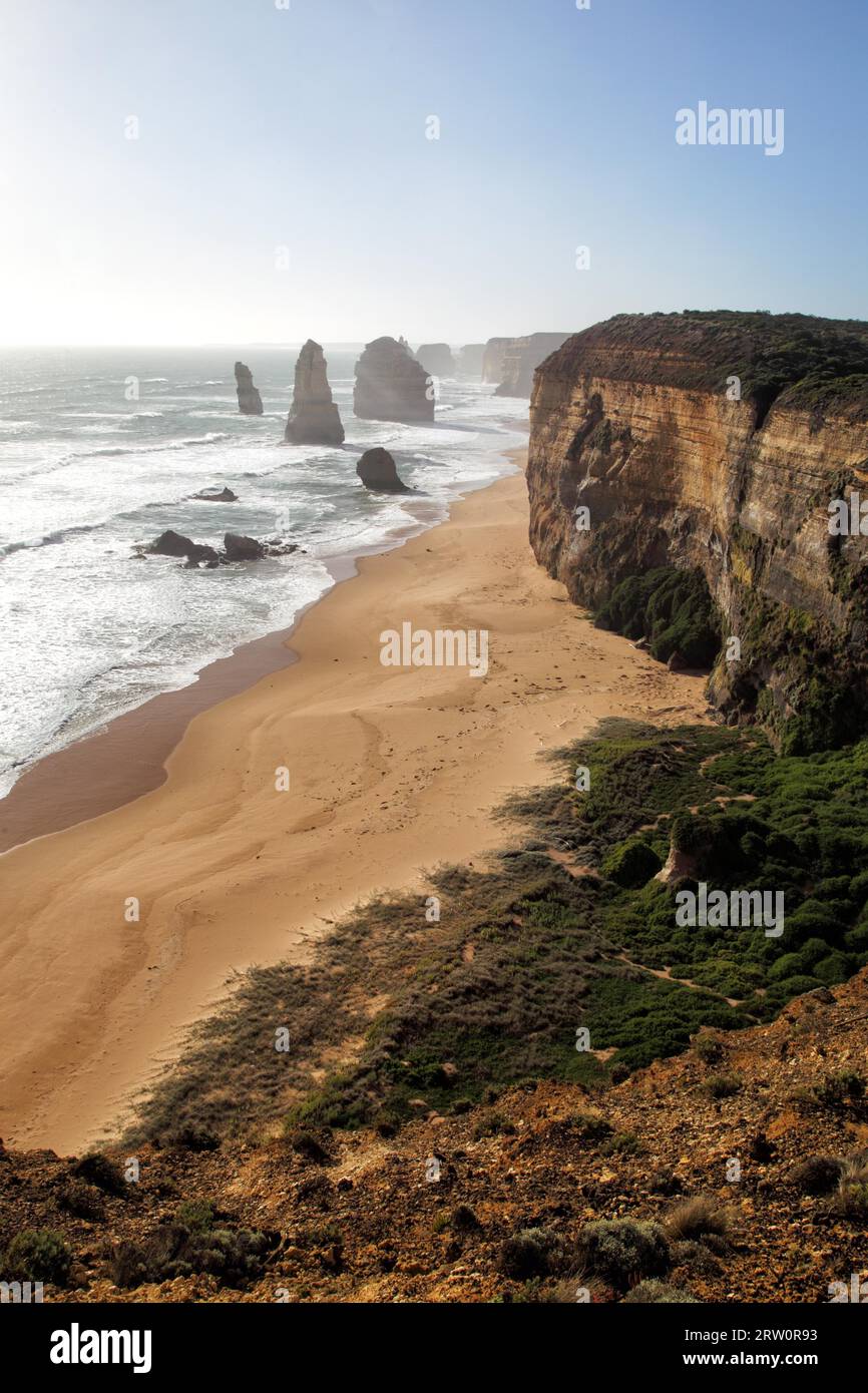 I dodici Apostoli, una formazione rocciosa famosa in tutto il mondo sulla Great Ocean Road vicino a Port Campbell, Victoria, Australia, in una soleggiata serata estiva. La Foto Stock