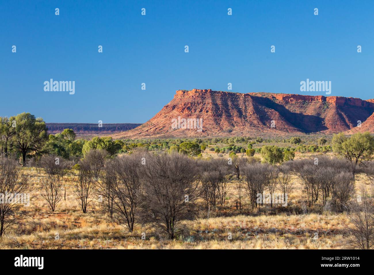 L'incredibile rock geologia del Kings Canyon da Kings Canyon Resort al tramonto nel Territorio del Nord, l'Australia Foto Stock