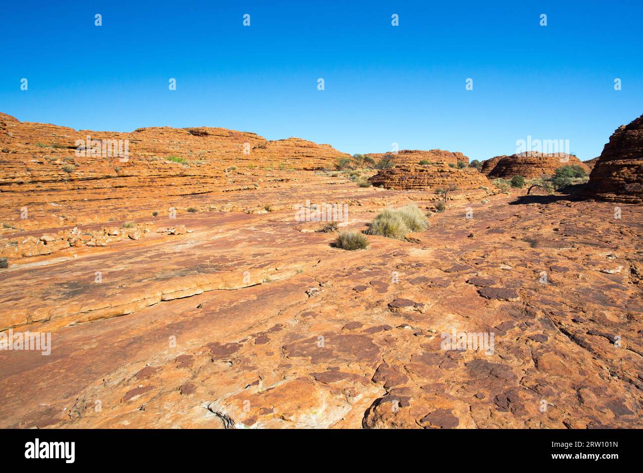 L'incredibile rock geologia del Kings Canyon nel Territorio del Nord, l'Australia Foto Stock