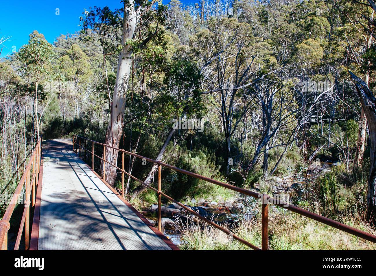 Il famoso Thredo Valley Track, una pista ciclabile che va da Thredbo a Jindabyne attraverso il lago Crackenback nel nuovo Galles del Sud, Australia Foto Stock