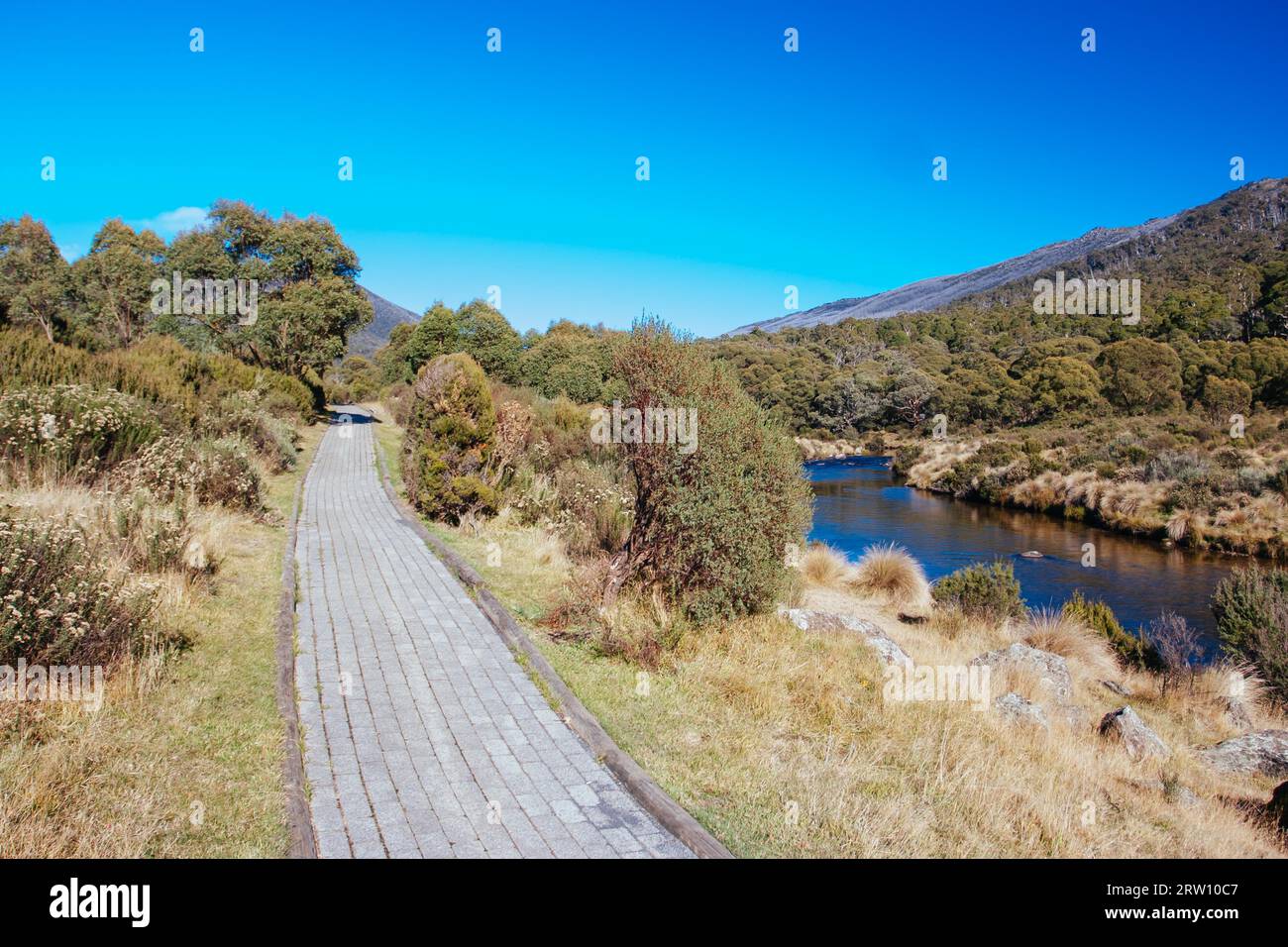 Il famoso Thredo Valley Track, una pista ciclabile che va da Thredbo a Jindabyne attraverso il lago Crackenback nel nuovo Galles del Sud, Australia Foto Stock