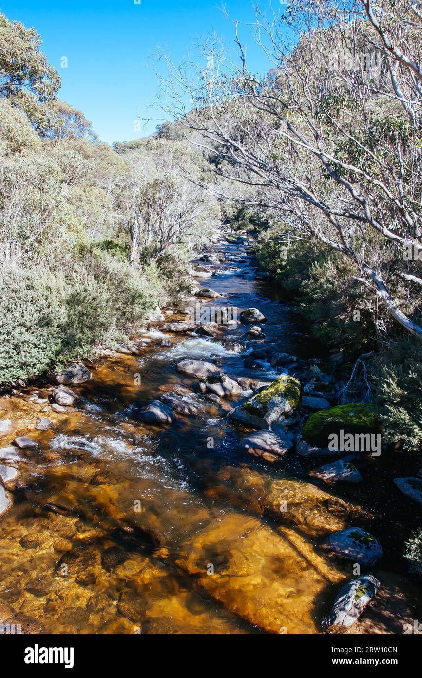 Il famoso Thredo Valley Track, una pista ciclabile che va da Thredbo a Jindabyne attraverso il lago Crackenback nel nuovo Galles del Sud, Australia Foto Stock
