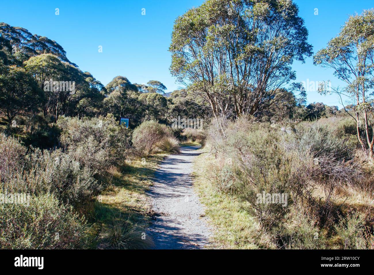 Il famoso Thredo Valley Track, una pista ciclabile che va da Thredbo a Jindabyne attraverso il lago Crackenback nel nuovo Galles del Sud, Australia Foto Stock
