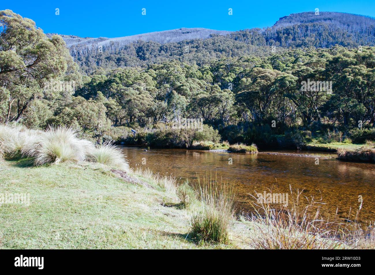 Il famoso Thredo Valley Track, una pista ciclabile che va da Thredbo a Jindabyne attraverso il lago Crackenback nel nuovo Galles del Sud, Australia Foto Stock