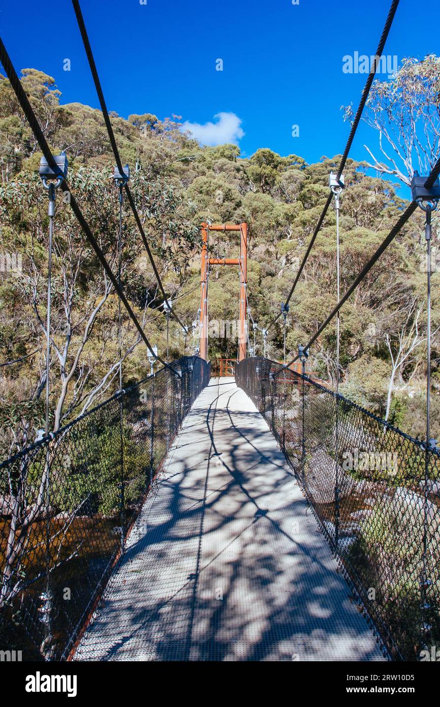 Il famoso Thredo Valley Track, una pista ciclabile che va da Thredbo a Jindabyne attraverso il lago Crackenback nel nuovo Galles del Sud, Australia Foto Stock