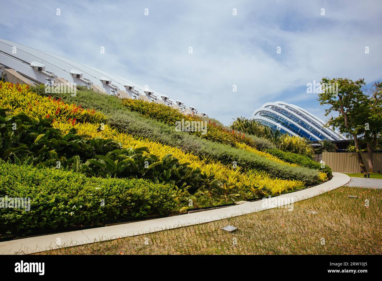 Marina Bay, Singapore, 21 giugno 2015: Esterno del Gardens by the Bay e colorate esposizioni di fiori in una calda giornata di sole Foto Stock