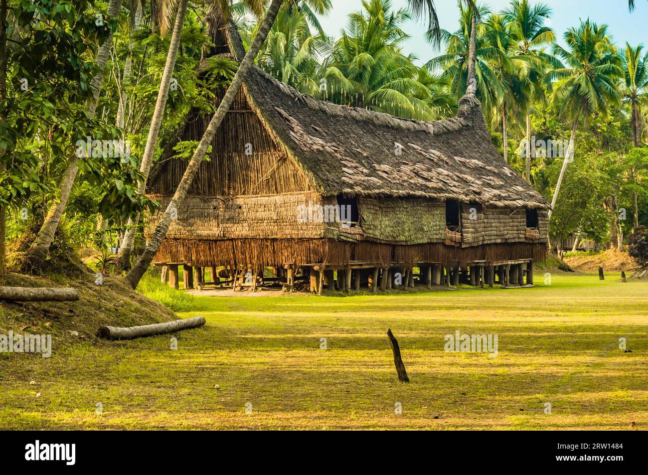 Grande casa fatta di paglia e legno circondata da palme a Palembe, fiume Sepik in Papua nuova Guinea. In questa regione, si possono incontrare solo persone da Foto Stock