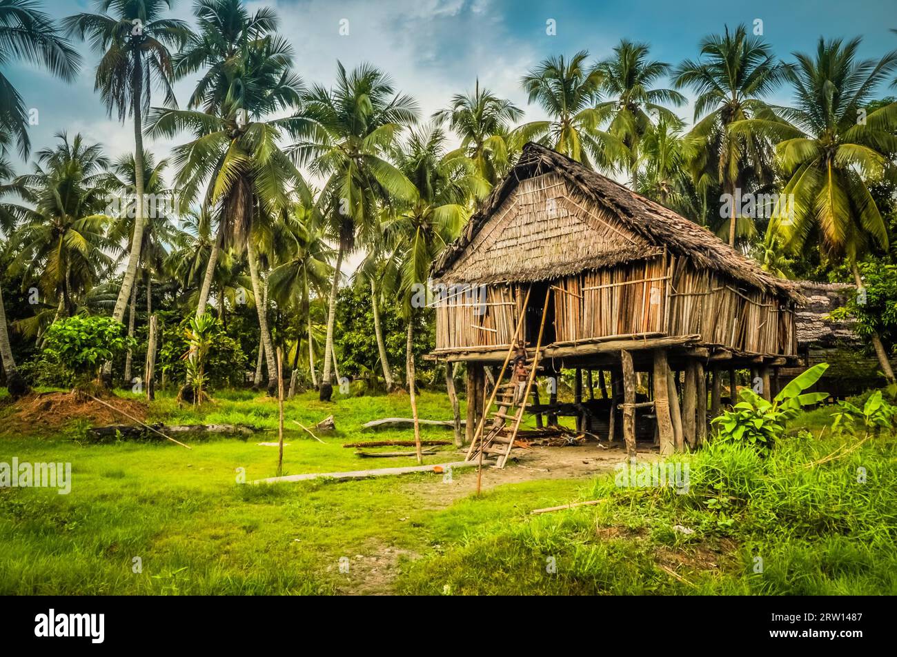 Foto di una grande casa fatta di paglia e bambù a Palembe, fiume Sepik in Papua nuova Guinea. In questa regione, si possono incontrare solo persone isolate Foto Stock