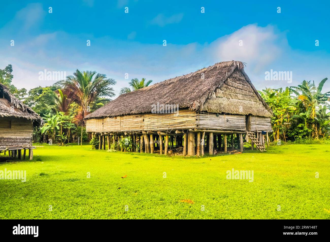 Foto di una grande casa fatta di paglia e bambù ad Avatip, fiume Sepik in Papua nuova Guinea. In questa regione, si possono incontrare solo persone isolate Foto Stock