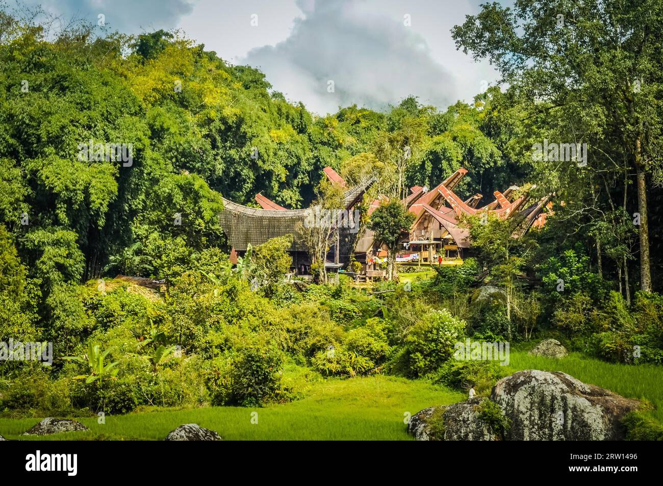 Foto dei tongkonani tradizionali e del verde e delle rocce circostanti nella regione di Toraja a Sulawesi, Indonesia Foto Stock