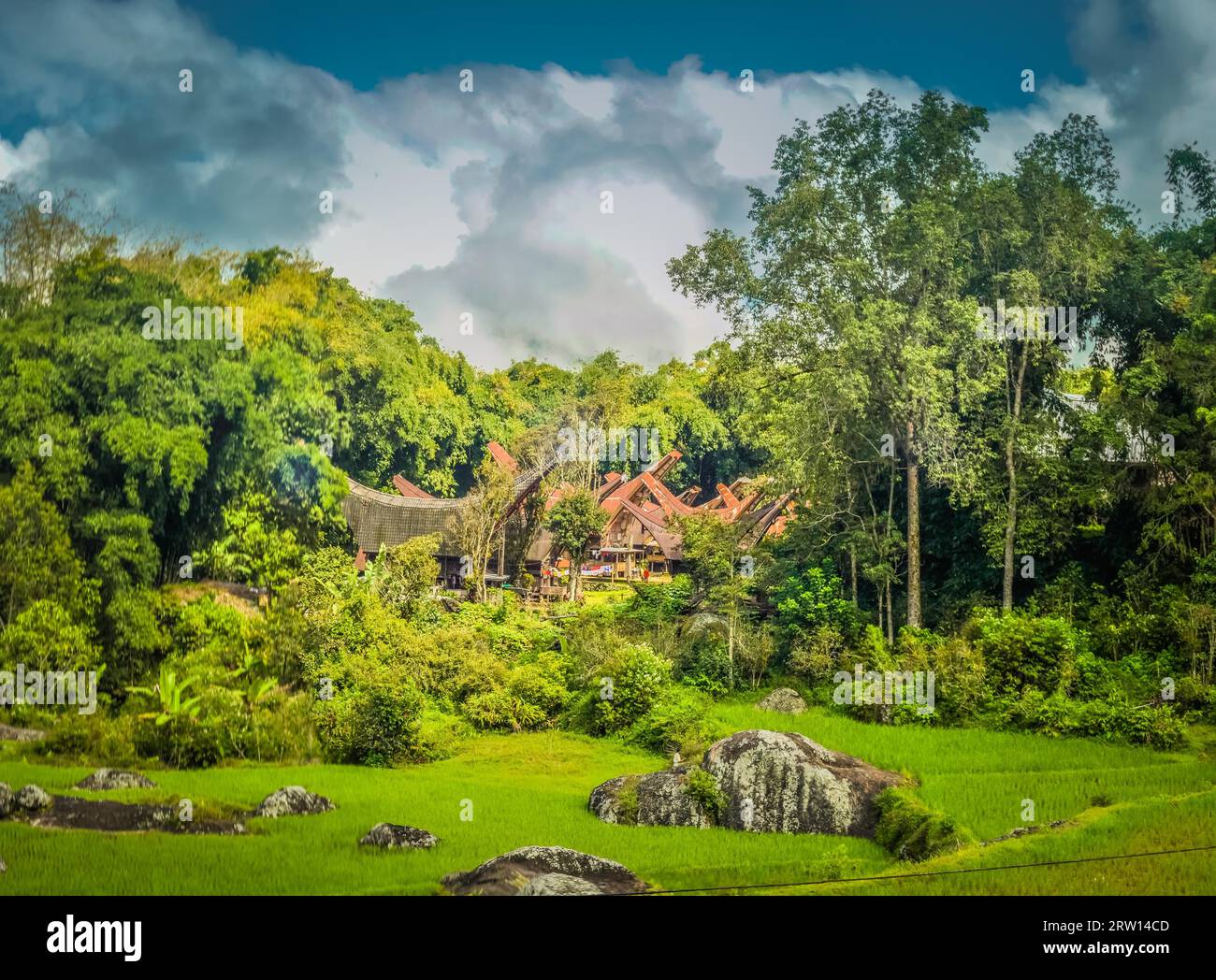 Foto di tongkonani tradizionali con tetti a dorso di sella e vegetazione e rocce circostanti nella regione di Toraja a Sulawesi, Indonesia Foto Stock