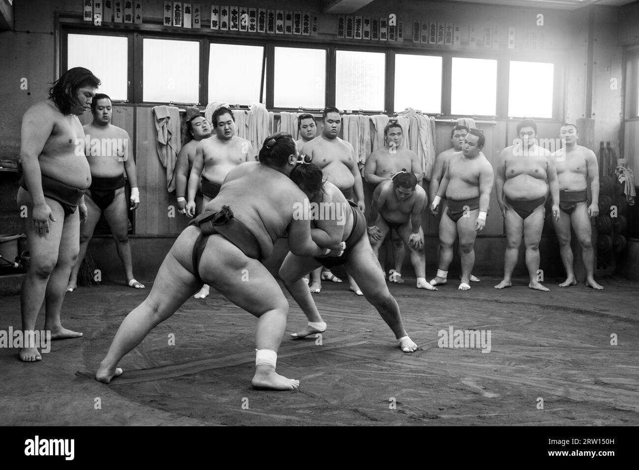 Tokyo, Giappone, 21 dicembre 2014: Allenamento dei lottatori di sumo giapponesi nel loro stallo nel distretto di Ryogoku Foto Stock
