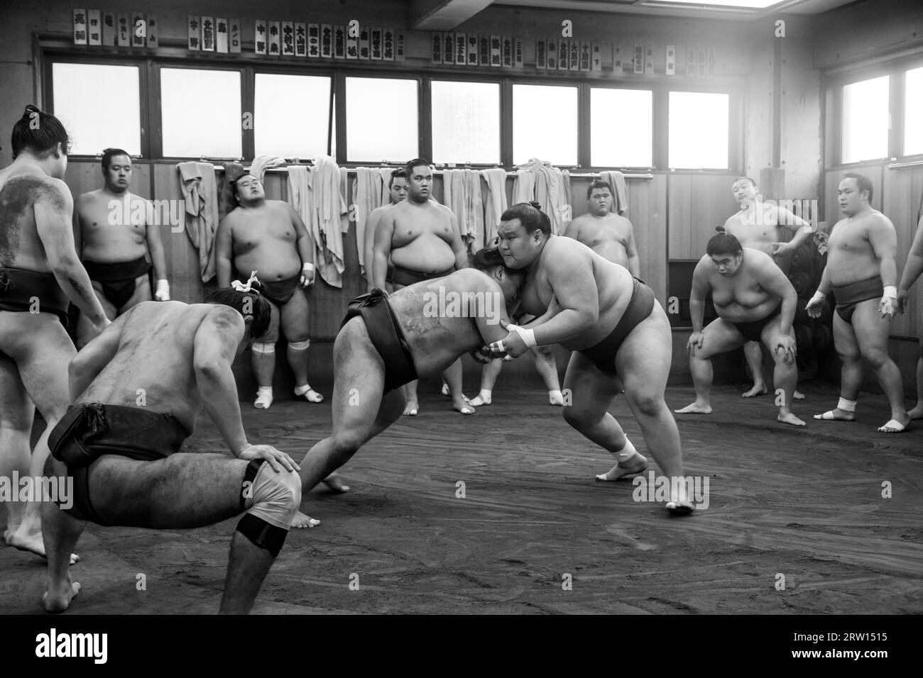 Tokyo, Giappone, 21 dicembre 2014: Allenamento dei lottatori di sumo giapponesi nel loro stallo nel distretto di Ryogoku Foto Stock