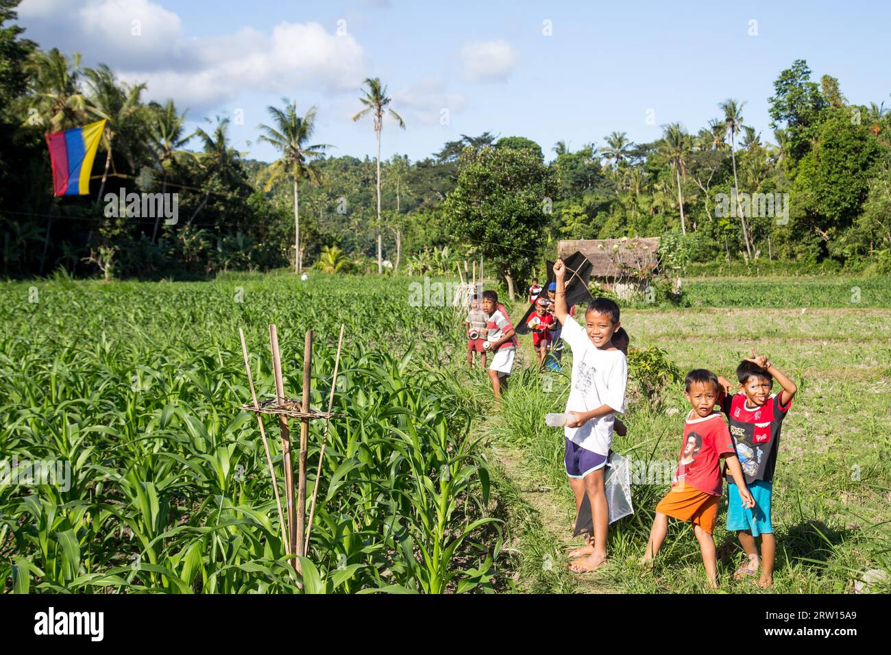 Bali, Indonesia, 7 luglio 2015: Bambini balinesi che giocano con gli aquiloni nei campi Foto Stock