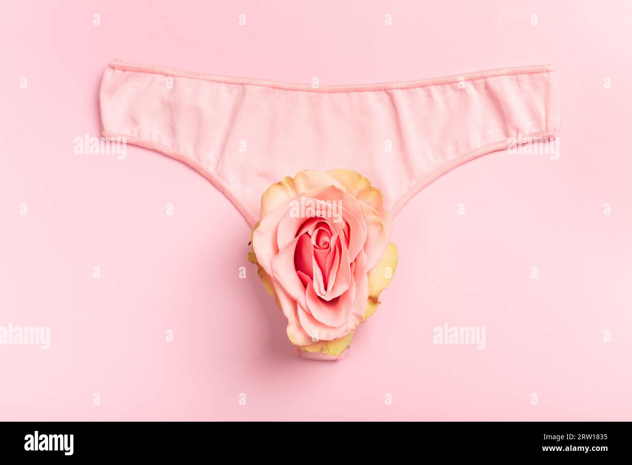 Vista dall'alto concetto di sistema riproduttivo femminile. Foto di alta qualità Foto Stock