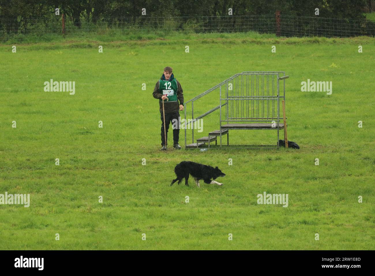 Peter og Morgan e Dog Tip competono al World Sheepdog Trials Young Handlers Competition presso Gill Hall Farm, Dromore, Irlanda del Nord Foto Stock