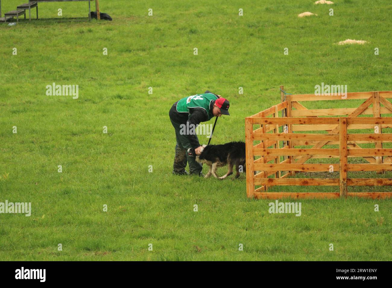 Oliver Watson e il cane Gary lavorano insieme al World Sheepdog Trials Young Handlers Competition Foto Stock