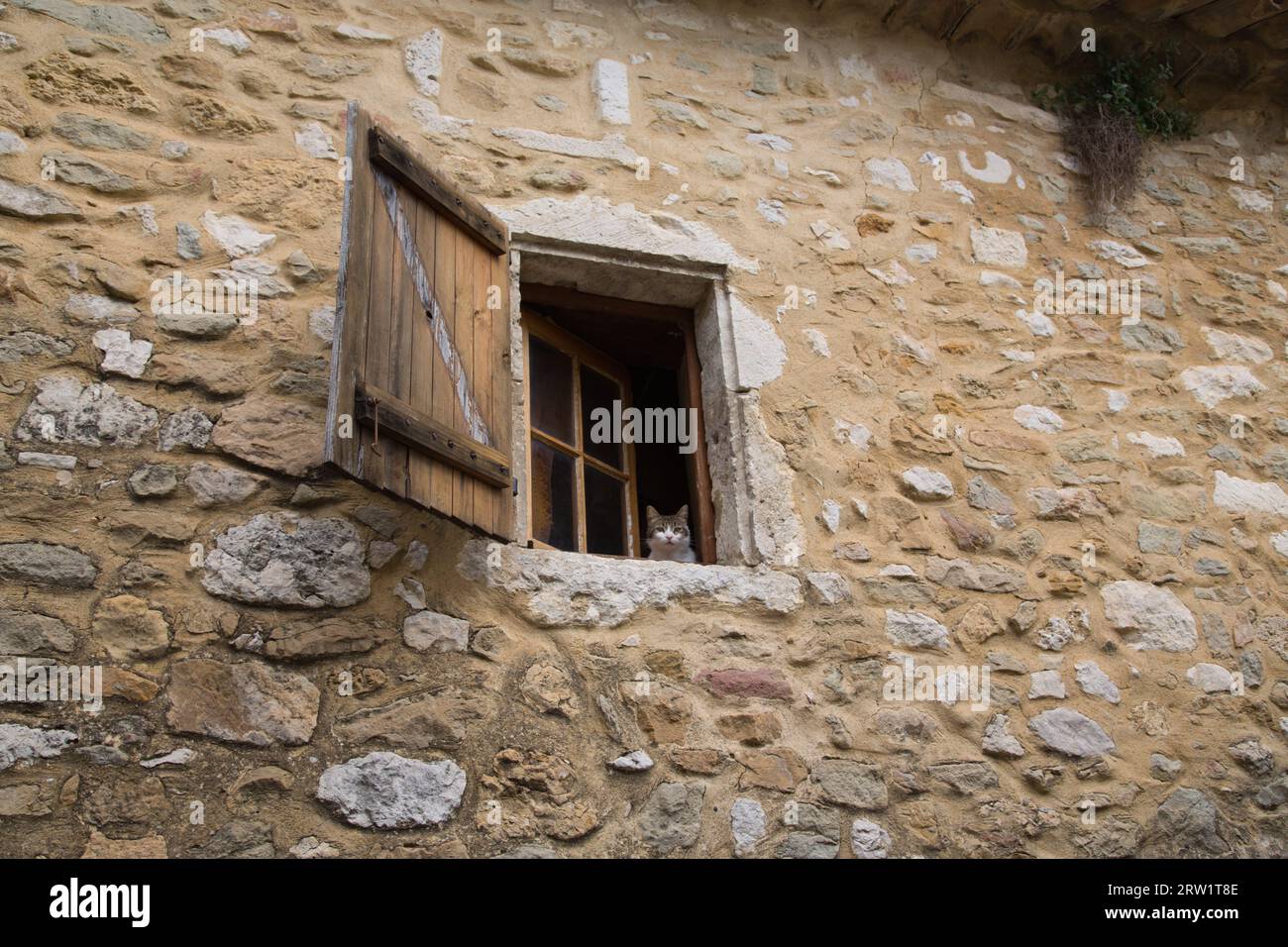 un gatto guarda fuori dalla finestra di una vecchia casa in pietra Foto Stock