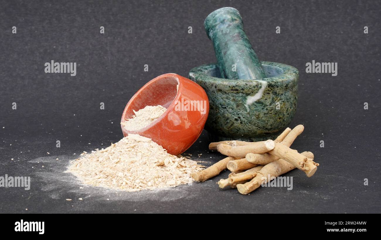 Ashwagandha Dry Root Medicinal Herb con foglie fresche, noto anche come Withania Somnifera, Ashwagandha, Ginseng indiano, Poison Gooseberry, o Winter che Foto Stock