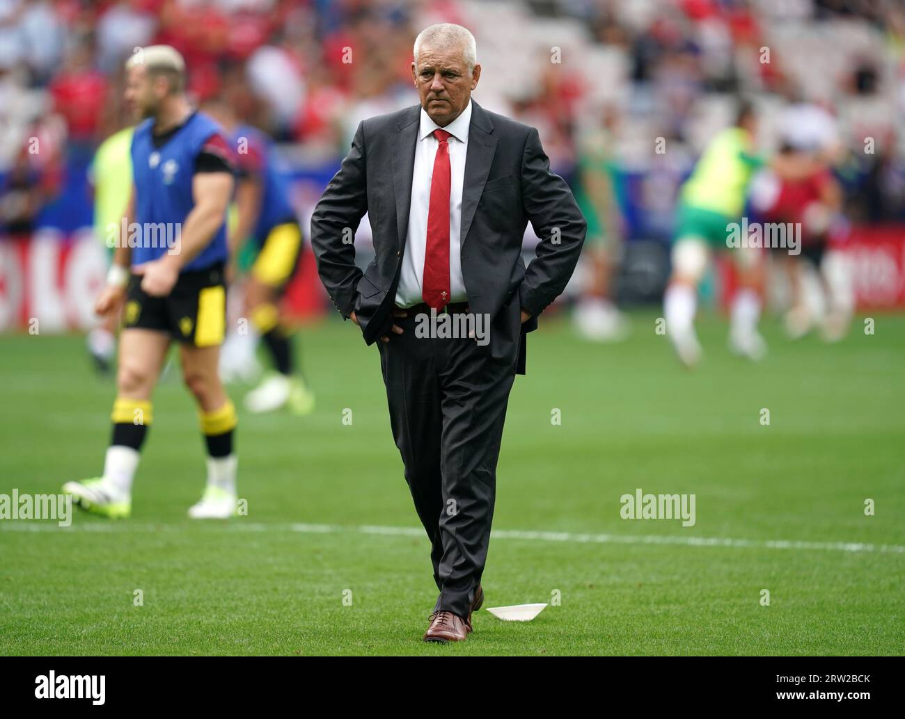 Il capo allenatore del Galles Warren Gatland in vista della Coppa del mondo di rugby 2023, partita di Pool C allo Stade de Nice, Francia. Data immagine: Sabato 16 settembre 2023. Foto Stock