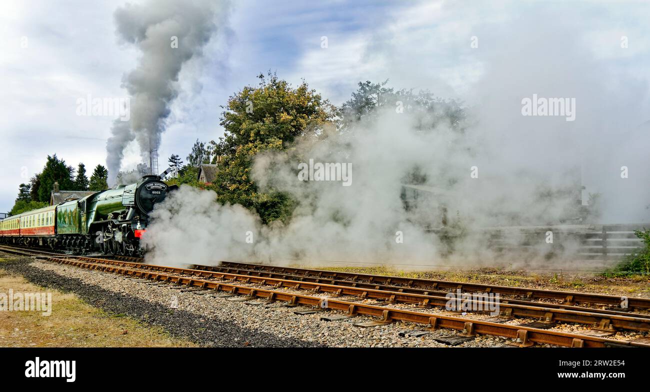 Il treno a vapore Flying Scotsman a Boat of Garten Scotland soffia nuvole di vapore lungo la ferrovia Foto Stock