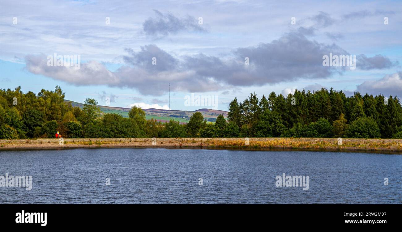 Dundee, Tayside, Scozia, Regno Unito. 16 settembre 2023. Il Clatto Country Park a Dundee è trascurato dal consiglio comunale. Il Clatto Park dispone di un grande bacino idrico, una foresta, sentieri pedonali e un parco giochi. Il serbatoio è stato costruito nel 1874 come parte dell'approvvigionamento idrico di Dundee, anche se non è più collegato alla rete. Il serbatoio presenta occasionalmente problemi con le alghe blu-verdi. Cigni e uccelli subacquei vivono nel lago e numerosi pesci vivono in acque profonde. L'area non è stata pulita per mesi e ha coltivato erbacce intorno allo stagno. Crediti: Dundee Photographics/Alamy Live News Foto Stock