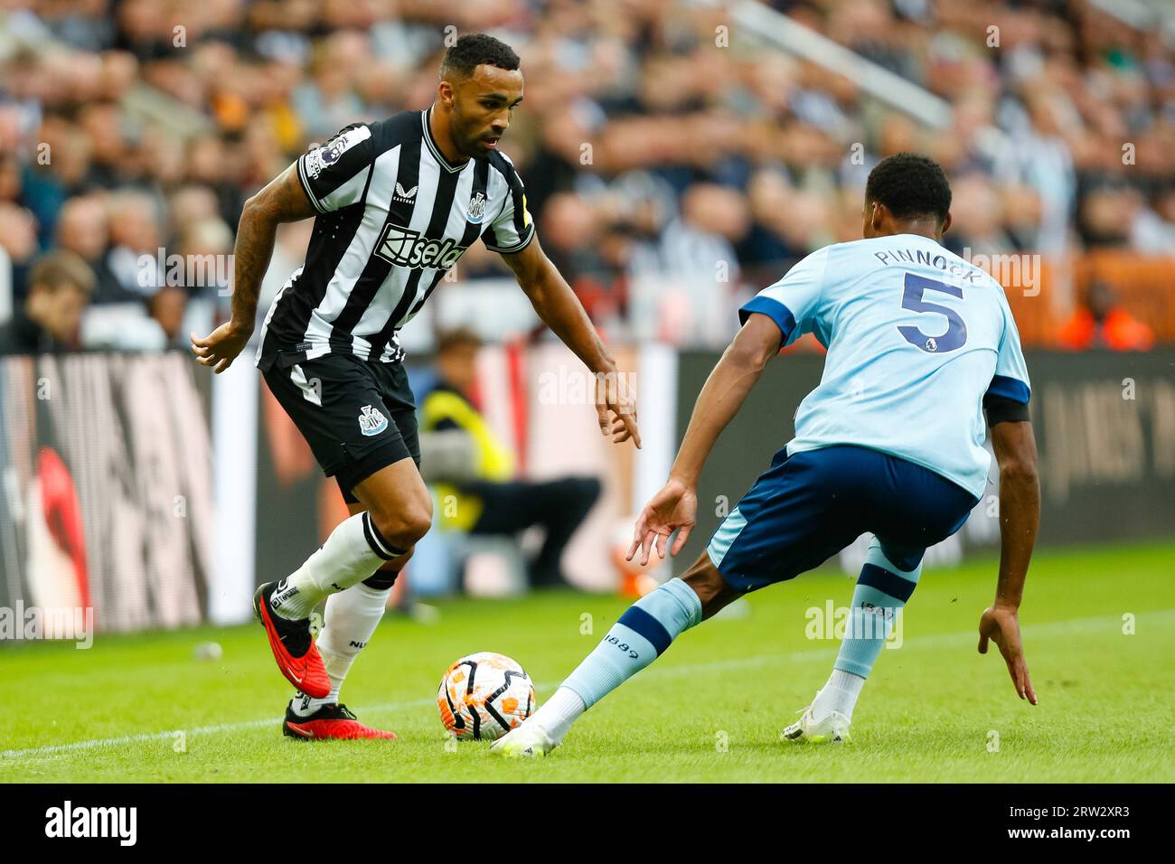 Newcastle, Regno Unito. 16 settembre 2023. 16 settembre 2023; St James' Park, Newcastle, Inghilterra; Premier League Football, Newcastle United contro Brentford; Callum Wilson del Newcastle United affronta Ethan Pinnock di Brentford Credit: Action Plus Sports Images/Alamy Live News Foto Stock