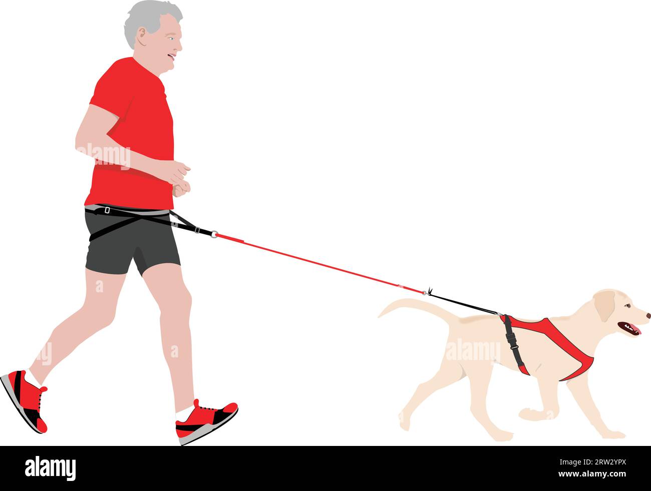 Canicross - uomo che corre con uno Springer Spaniel su sfondo bianco Illustrazione Vettoriale