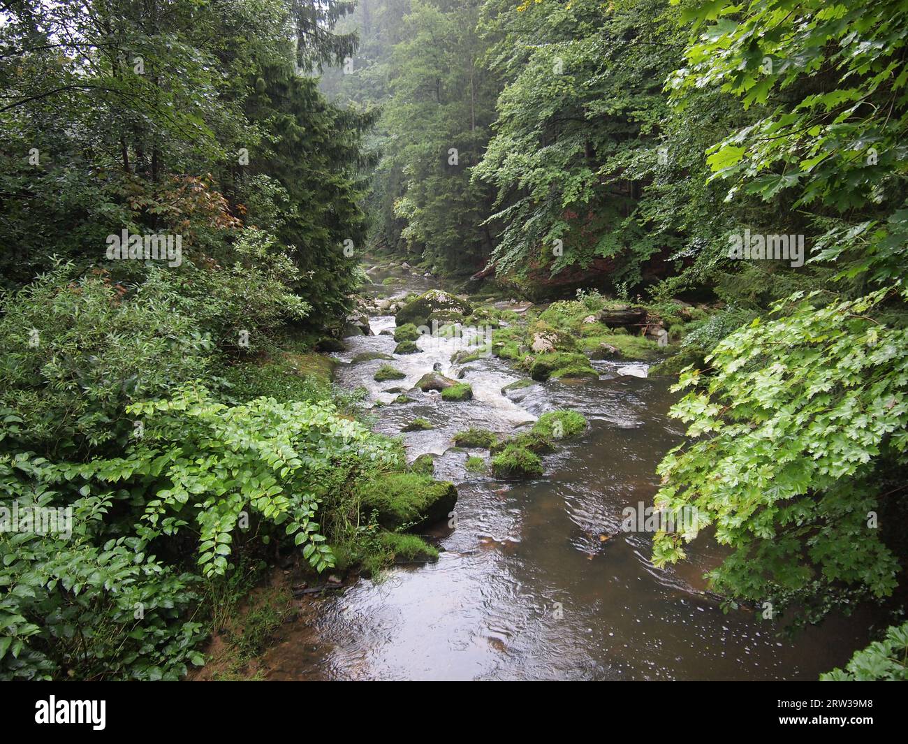 Fiume Kamienna (Szklarska Poręba, Contea di Karkonosze, Voivodato della bassa Slesia, Repubblica di Polonia) Foto Stock