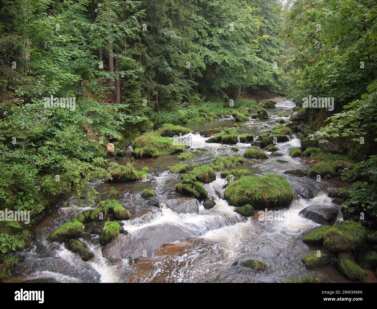 Fiume Kamienna (Szklarska Poręba, Contea di Karkonosze, Voivodato della bassa Slesia, Repubblica di Polonia) Foto Stock