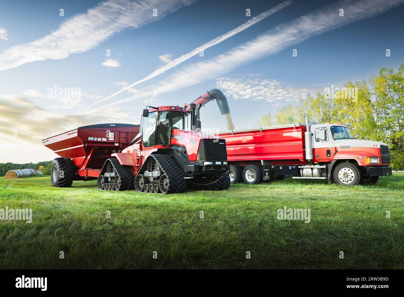 Cremona Alberta Canada, 10 settembre 2023: Il trattore Case Quadtrac scarica la granella da un carro grano in un autocarro tandem Mack durante la mietitura autunnale in Foto Stock