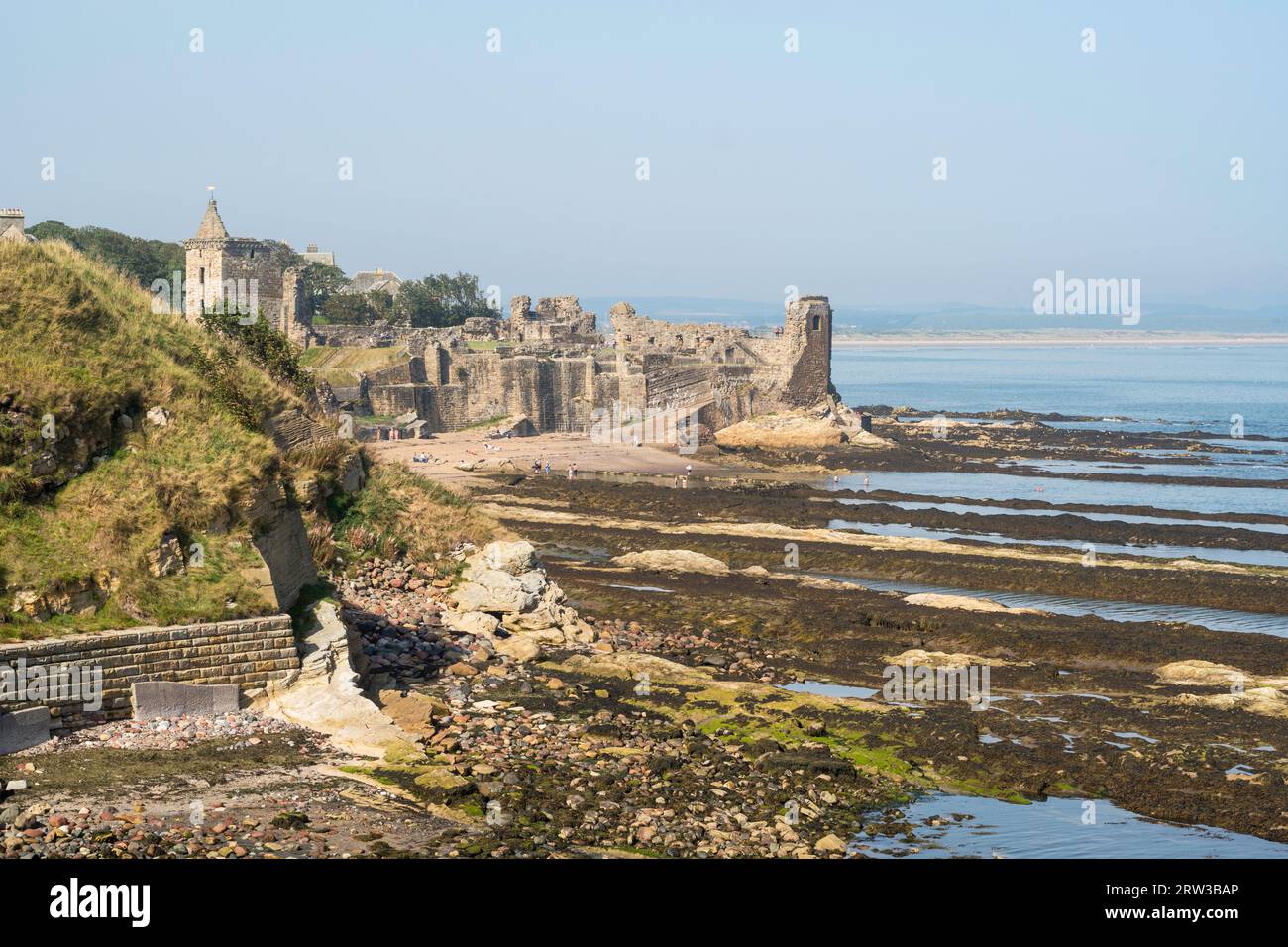 Rovine del castello di St Andrews, Fife, Scozia, Regno Unito Foto Stock Rovine del castello di St Andrews, Fife, Scozia, Regno Unito Foto Stock