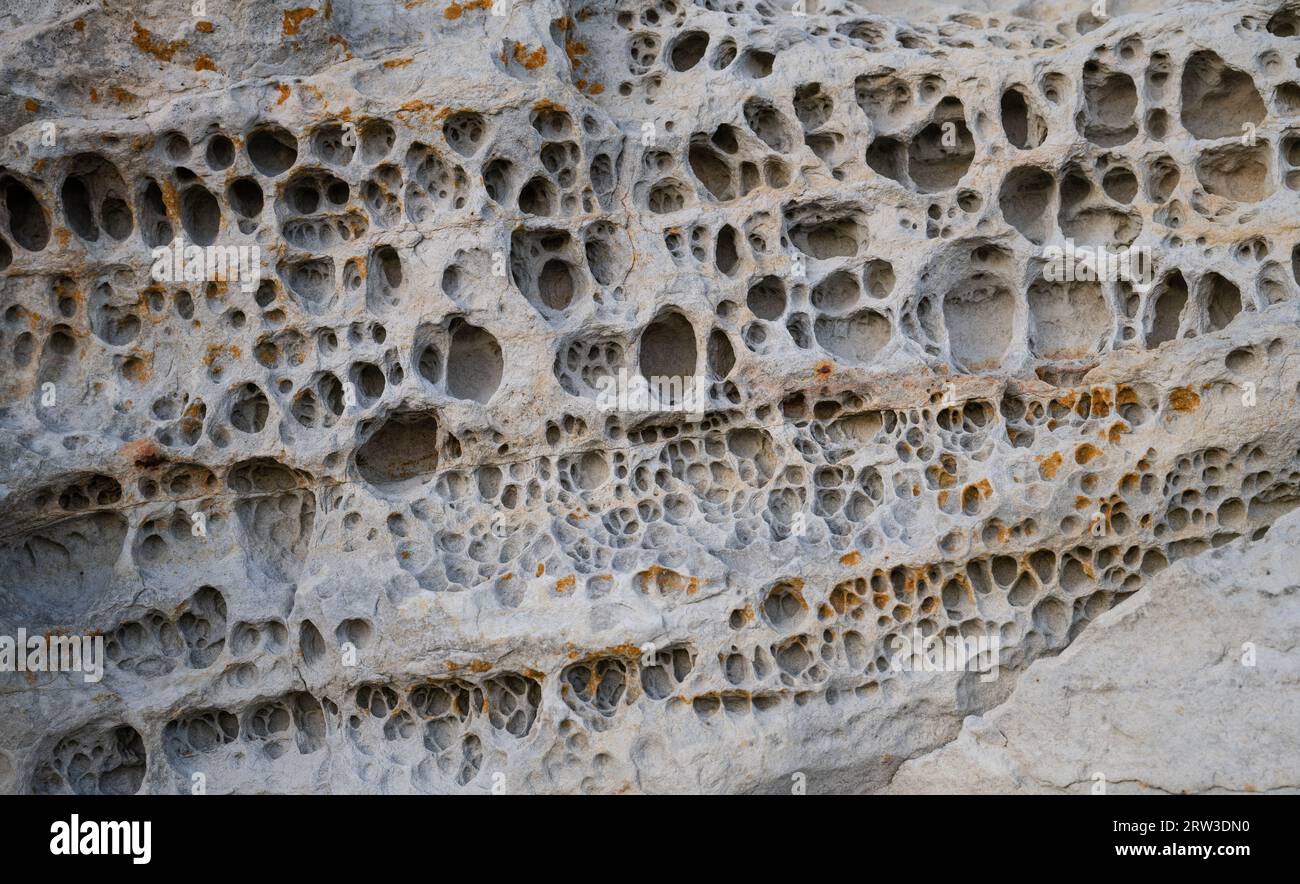 Elgol Beach, Isola di Skye, Scozia. Honeycomb Rock. Gli agenti atmosferici sono causati dall'erosione del mare e del sale. Foto Stock