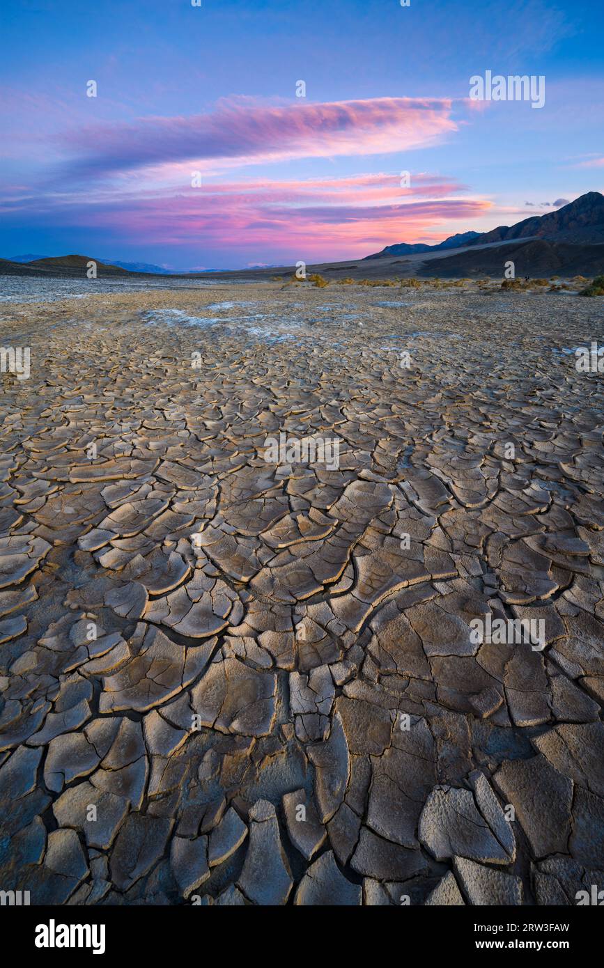 Piastrelle di fango a Mesquite Flats nel Death Valley National Park, California. Foto Stock