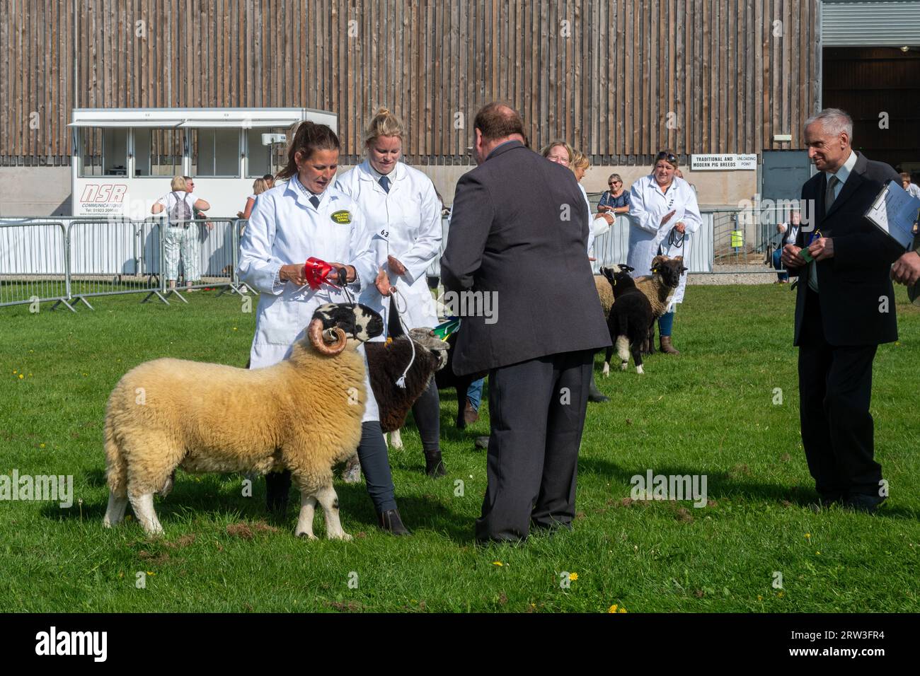 16 settembre 2023. Newbury Show è tornato oggi per la prima volta dopo la pandemia. L'evento si è svolto nel fine settimana del 16 e 17 settembre al Newbury Showground, Berkshire, Inghilterra, dopo un intervallo di tre anni. Lo spettacolo, chiamato anche Royal County of Berkshire Show, è stato organizzato dalla Newbury & District Agricultural Society, ed è stato ben frequentato. Giudizio sul bestiame, competizione di pecore Foto Stock 16 settembre 2023. Newbury Show è tornato oggi per la prima volta dopo la pandemia. L'evento si è svolto nel fine settimana del 16 e 17 settembre al Newbury Showground, Berkshire, Inghilterra, dopo un intervallo di tre anni. Lo spettacolo, chiamato anche Royal County of Berkshire Show, è stato organizzato dalla Newbury & District Agricultural Society, ed è stato ben frequentato. Giudizio sul bestiame, competizione di pecore Foto Stock